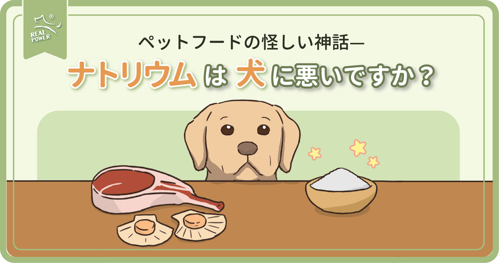 ペットフードの怪しい神話– ナトリウムは犬に悪いですか?
