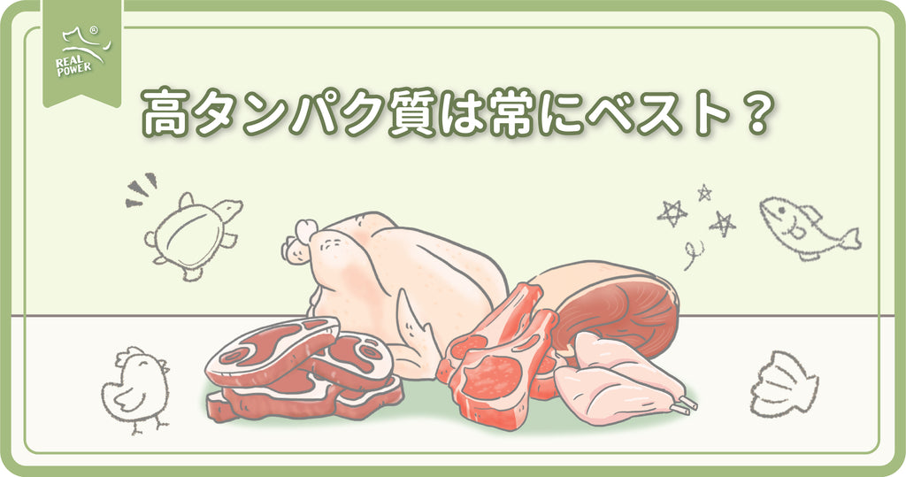 ペットフード神話を一掃する#1:高タンパク質は常にベスト?