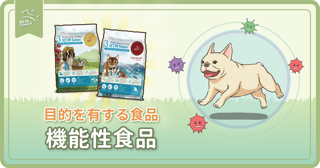 機能性食品:目的を有する食品 #2