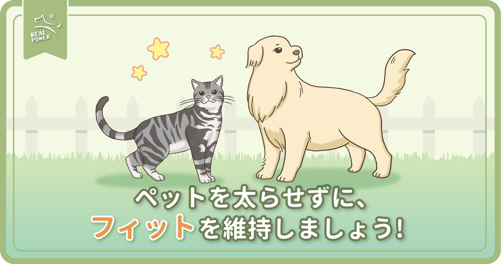 ペットを太らせずに、フィットを維持しましょう!