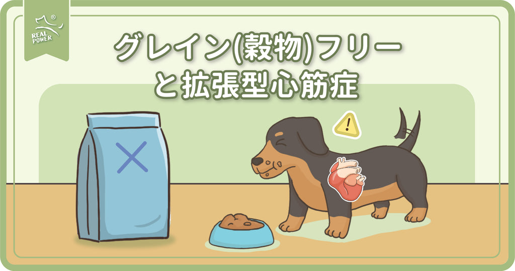 グレイン(穀物)フリーと拡張型心筋症に関する栄養士の言葉