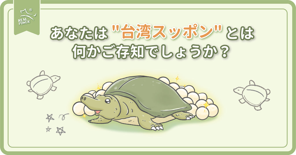 あなたは“台湾スッポン”とは何かご存知でしょうか?