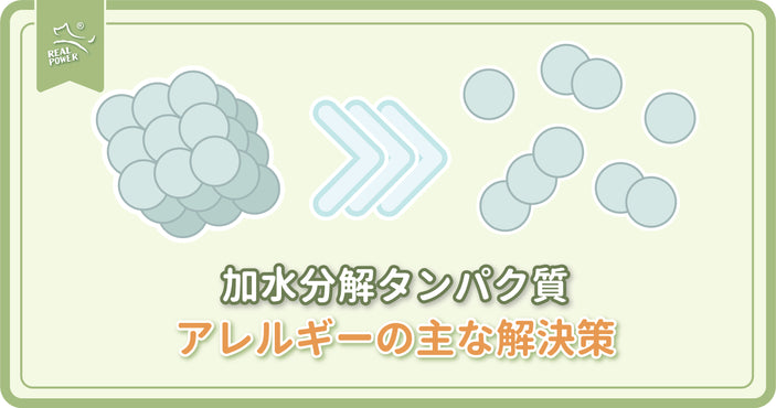アレルギーの主な解決策としての加水分解タンパク質