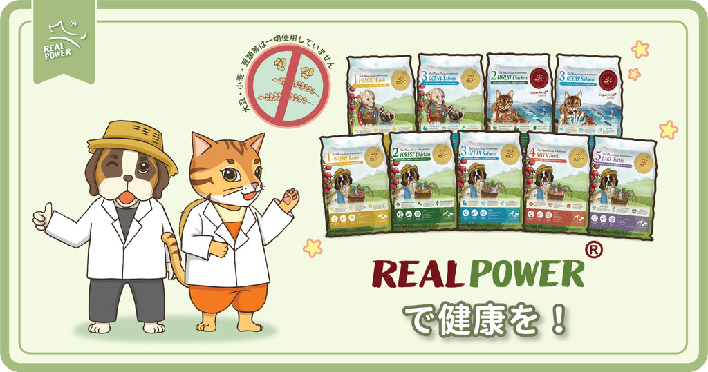 私共の栄養学者からの言葉:大豆・小麦・豆類等は一切使用していません