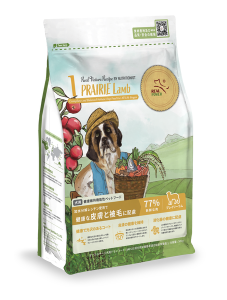 20241120_JP_dogfood_NO1_500g_l