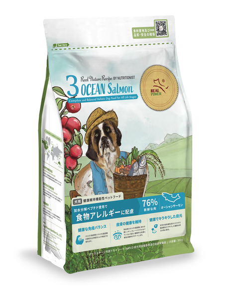 20241120_JP_dogfood_NO3_500g_l 20241120_JP_dogfood_NO3_500g_l