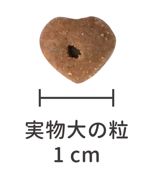 健康な皮膚と被毛に配慮】REAL NATURE RECIPE キャットフィード
