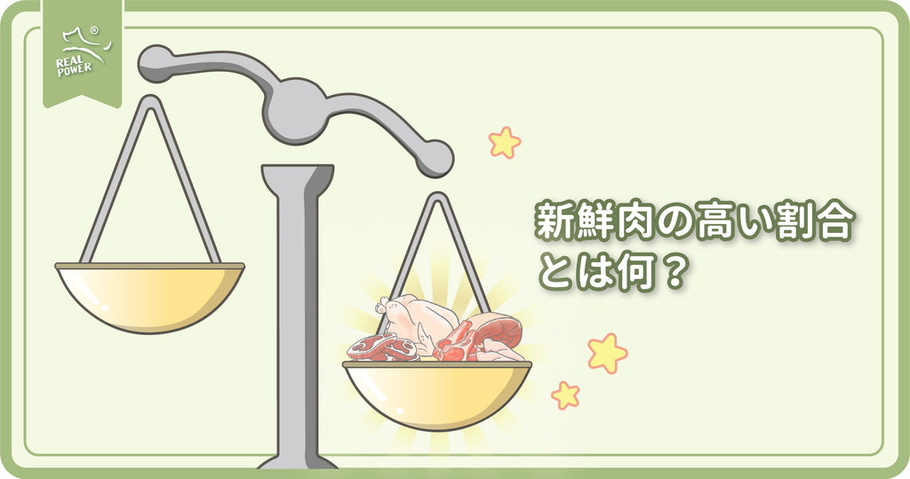 ペットフード神話を一掃する #2: 新鮮肉の高い割合とは何？
