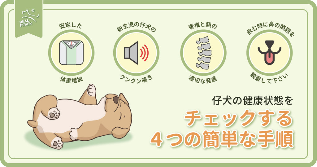 仔犬の健康状態をチェックする４つの簡単な手順