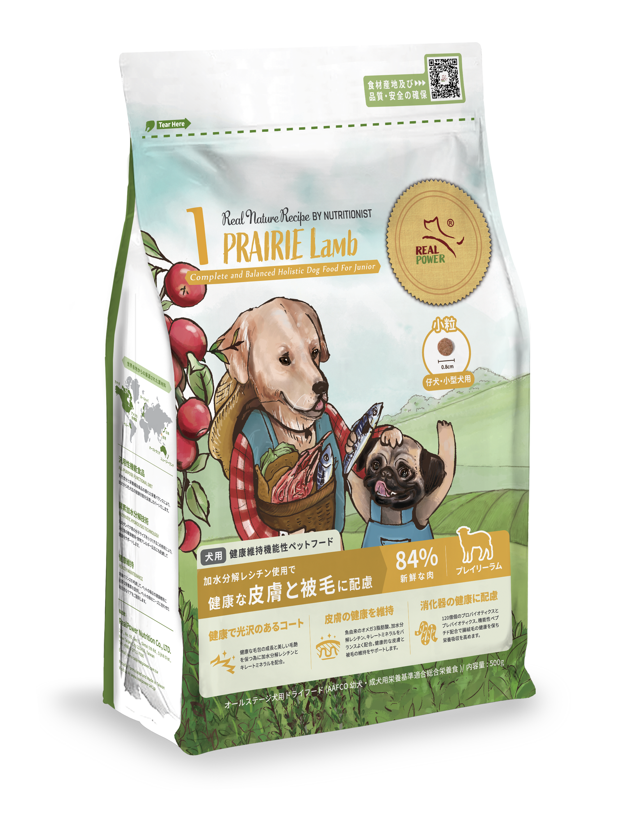 ドッグフード R IM 20241120_JP_dogfood_NO1_500g_l
