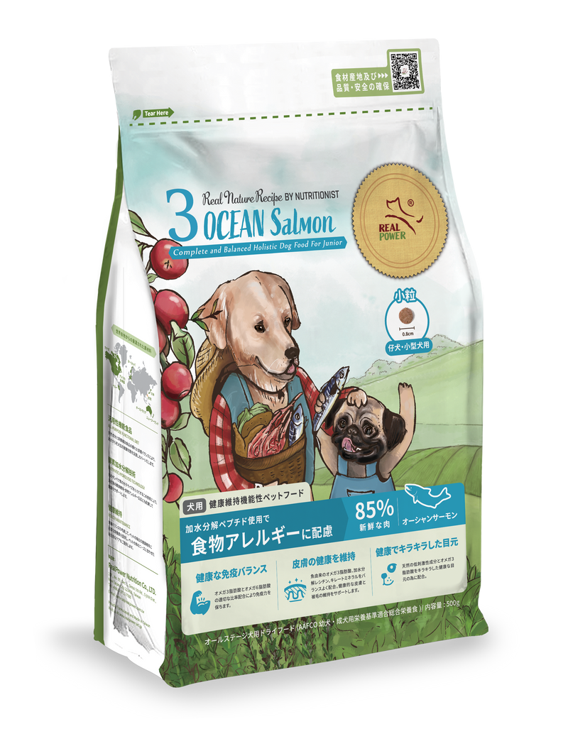 仔犬と小型成犬用ドッグフード　NO3. オーシャンサーモン　スモールブリード